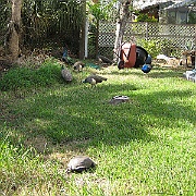 Picture 025